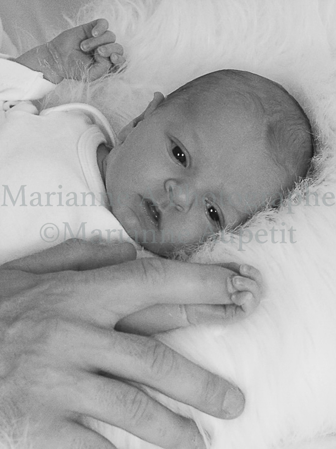 Naissance grossesse marianne aupetit mariannea photographe copie et reproduction interdite 120